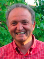 Prof. Dr. Rainer Helmig
